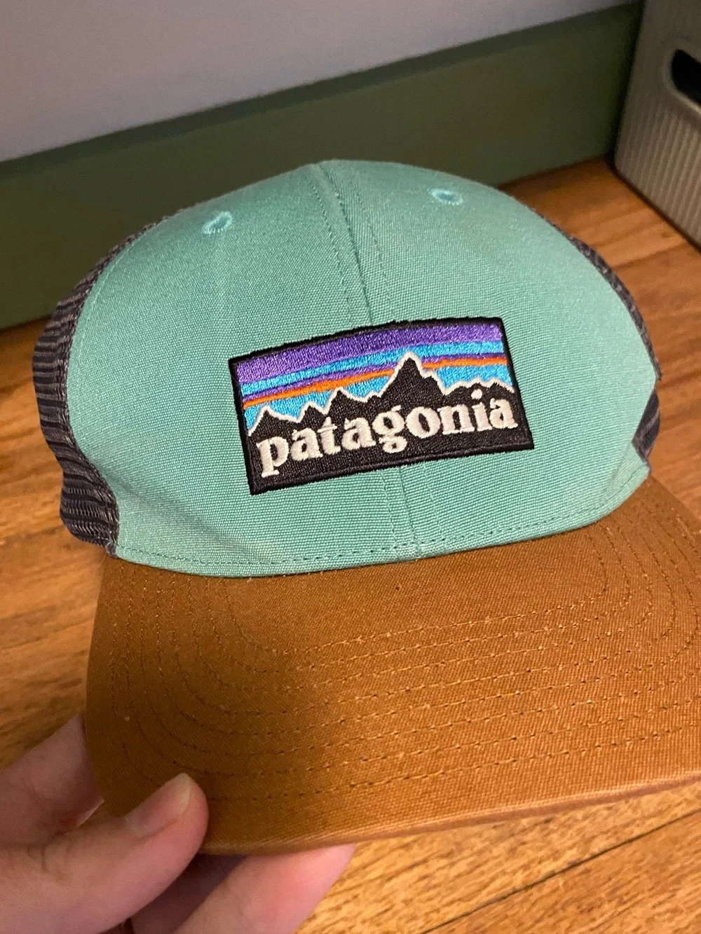 Patagonia cute tan